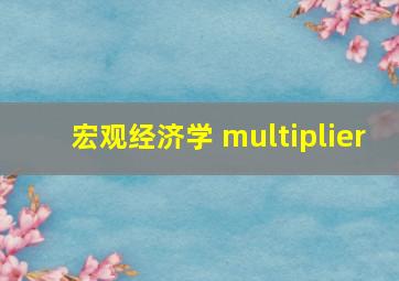 宏观经济学 multiplier